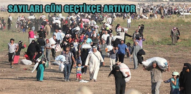 Urfa?da 33 İl Nüfusu Kadar Suriyeli Var