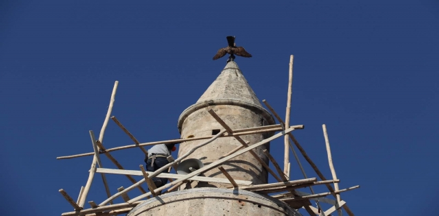Minarede mahsur kalan atmaca kurtarıldı