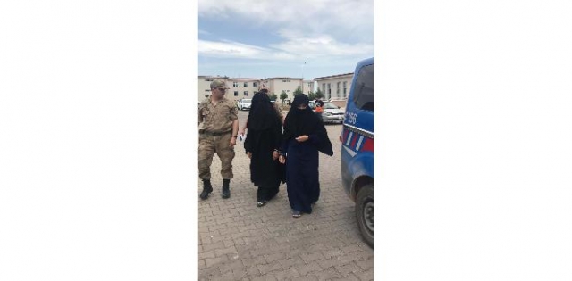 Akçakale`de DEAŞ`lı 2 kadın yakalandı