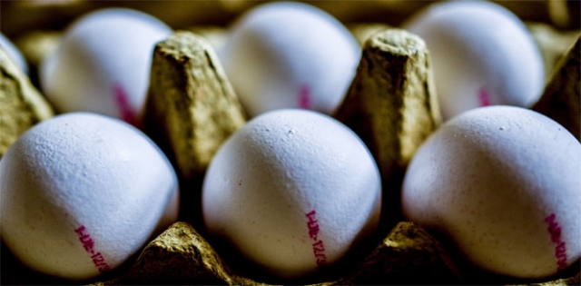 Tavuk yumurtası üretimi Mayıs`ta arttı