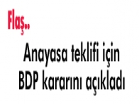 BDP`den AKP`nin anayasa teklifine ret