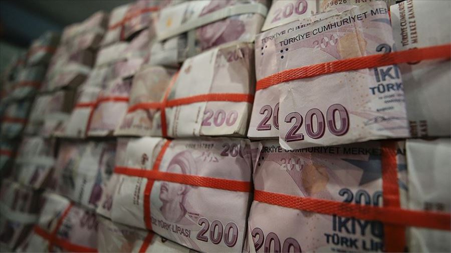 Milli Dayanışma Kampanyası