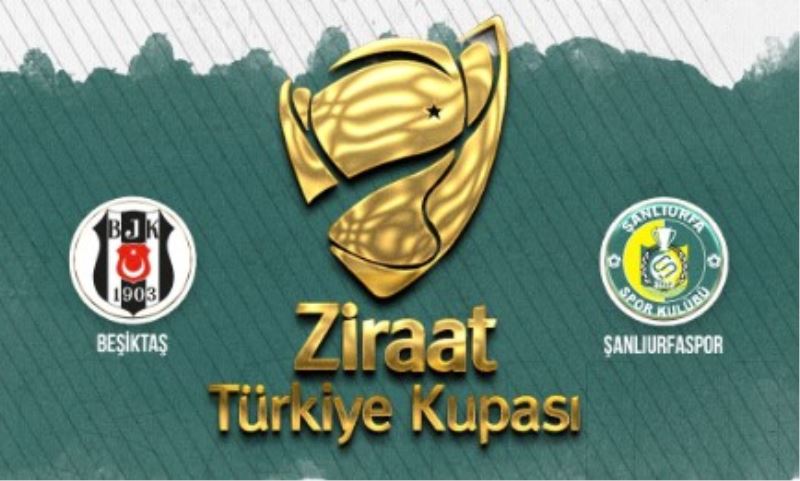 Beşiktaş farkı 2
