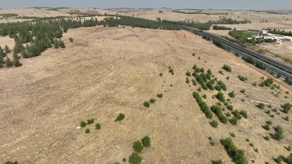 ŞANLIURFA BÜYÜKŞEHİR BELEDİYESİ 100 DÖNÜMLÜK HATIRA ORMANI İÇİN HAZIRLIKLARA BAŞLADI