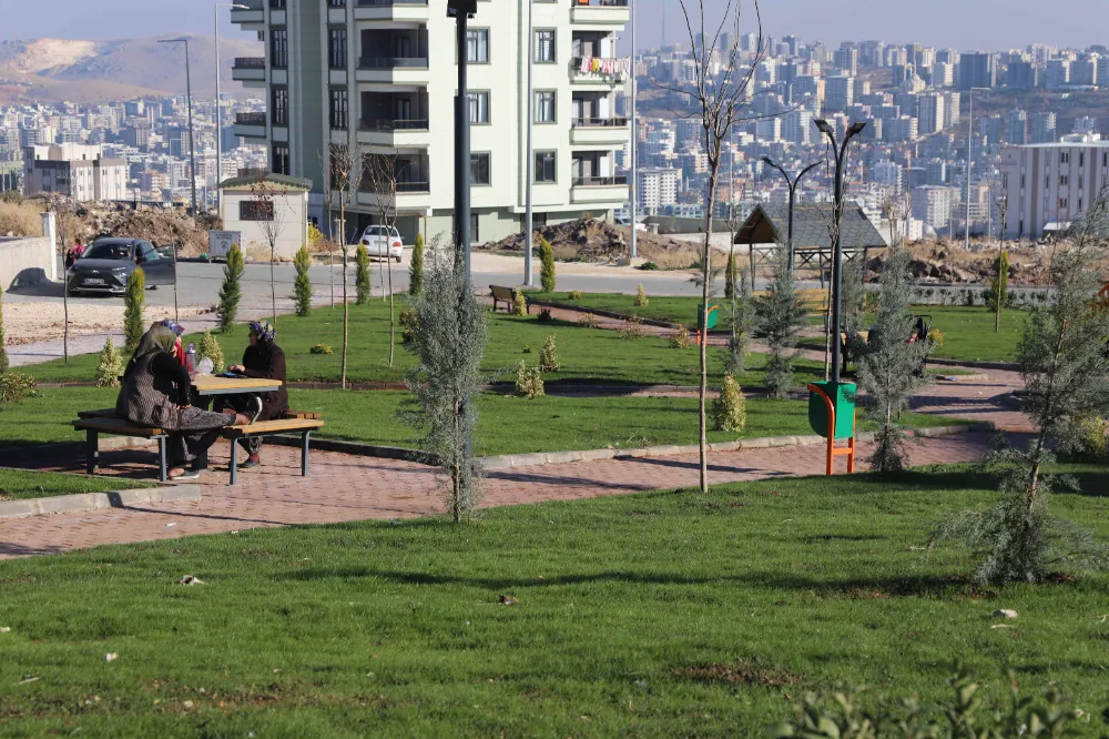 KARAKÖPRÜ’YE YENİ YEŞİL ALANLAR KAZANDIRILIYOR