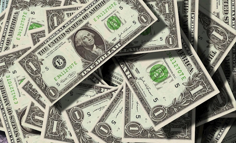 Döviz kurları haftanın ilk gününde kaç TL