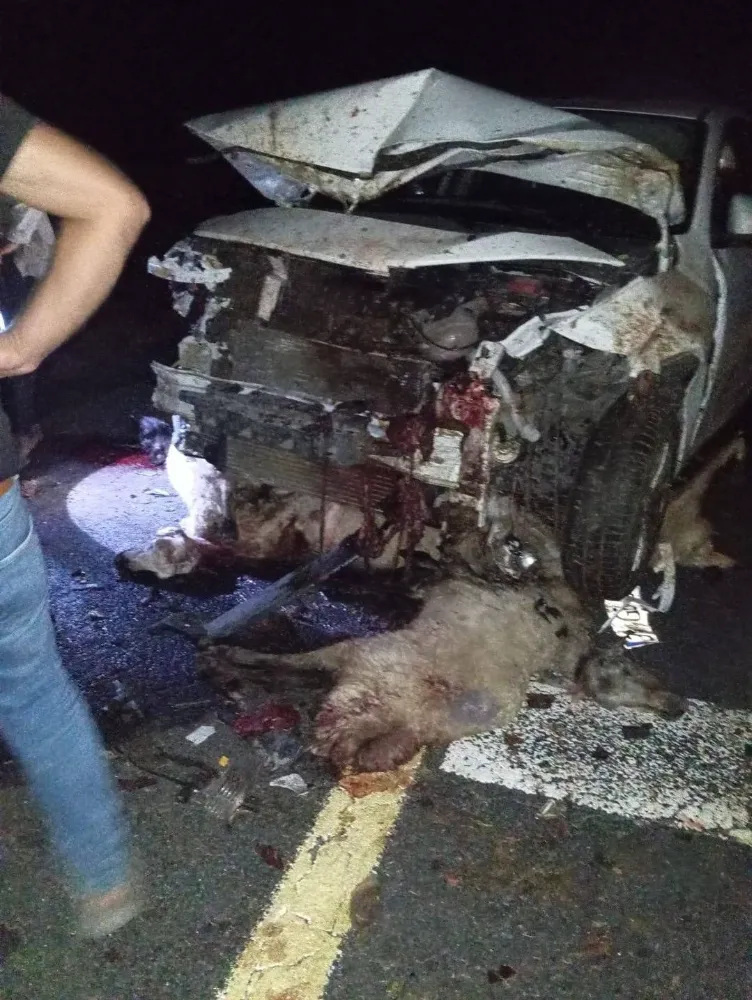 SİVEREK’TE OTOMOBİL KOYUN SÜRÜSÜNE DALDI