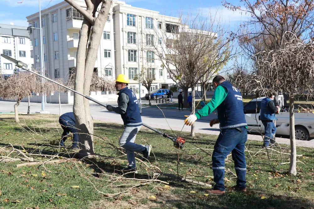 HALİLİYE’DE 203 PARK VE SOKAKLARDA HUMMALI PEYZAJ ÇALIŞMALARI 