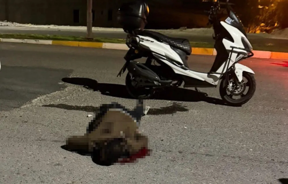 BIÇAKLANDI, MOTOSİKLETİYLE HASTANEYE GİDERKEN HAYATINI KAYBETTİ