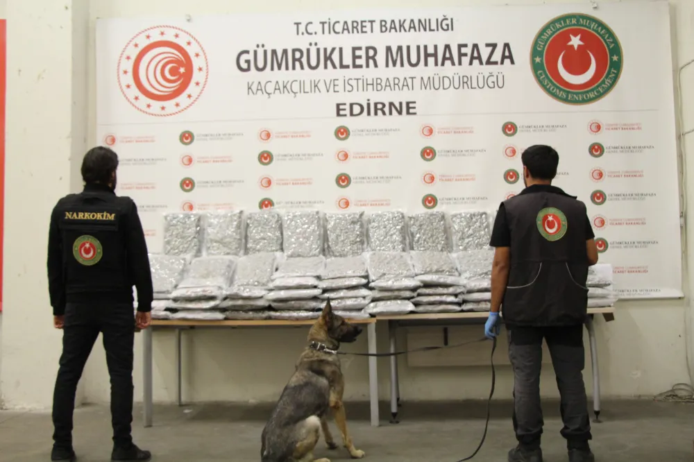 TİCARET BAKANLIĞI: 