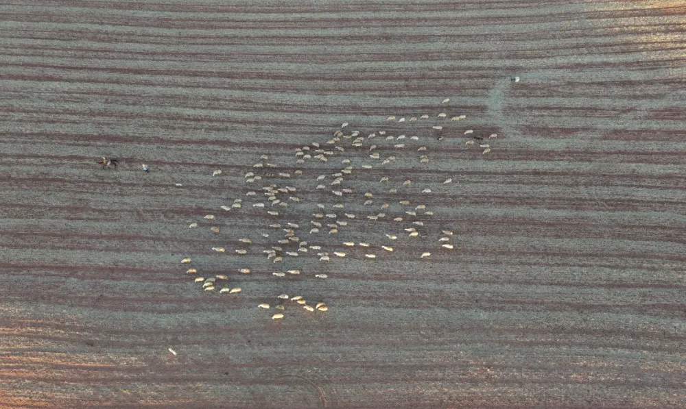 MEDYA DÜNYASINDAN HAYVANCILIĞA: İSTANBUL STRESİNİ BIRAKIP KÖYDE HUZURU BULDU