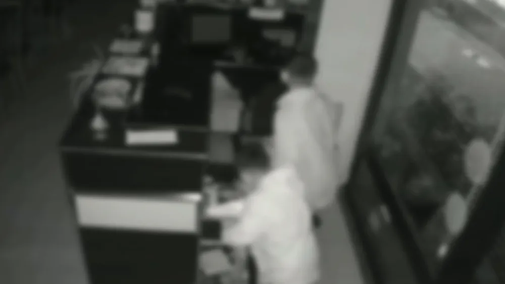 ŞEHRİ AYAĞA KALDIRAN HIRSIZLIK ZİNCİRİ