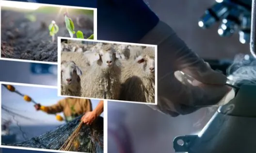 ŞANLIURFALI ÇİFTÇİLERİN HESAPLARINA DESTEK ÖDEMELERİ AKTARILDI