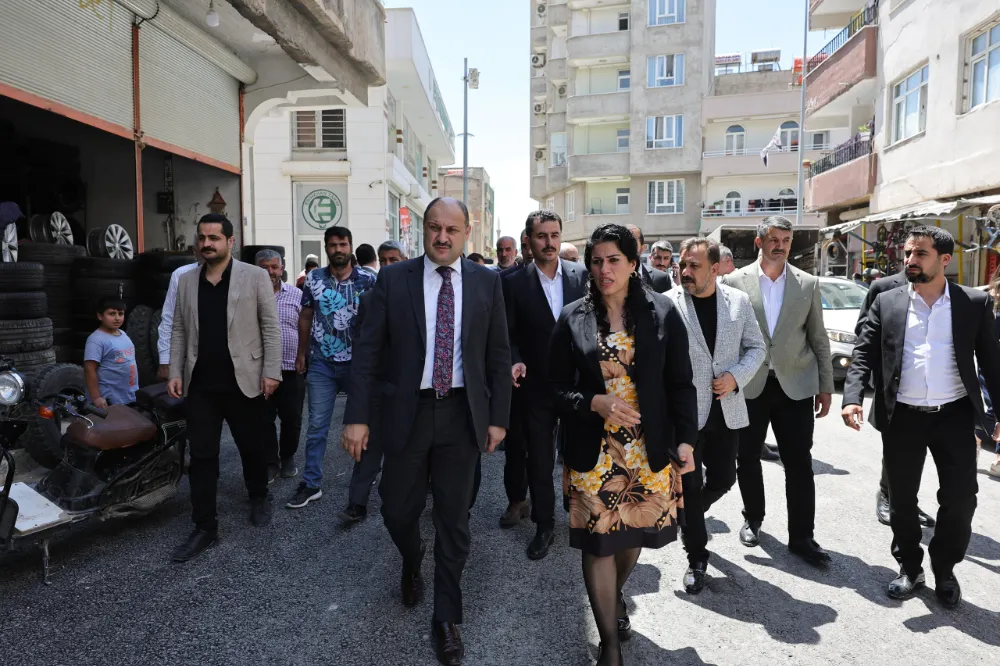 BAŞKAN GÜLPINAR, SURUÇ’TA ASFALT ÇALIŞMALARINI İNCELEDİ