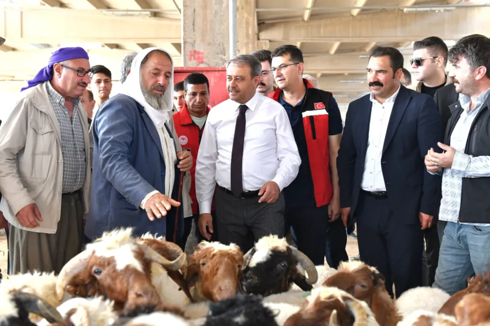 ŞANLIURFA’DA KURBAN SATIŞ VE KESİM YERLERİ BELİRLENDİ