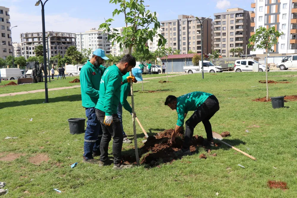 HALİLİYE BELEDİYESİ YEŞİL ALAN ÇALIŞMALARIYLA YAŞAM KALİTESİNİ ARTIRIYOR