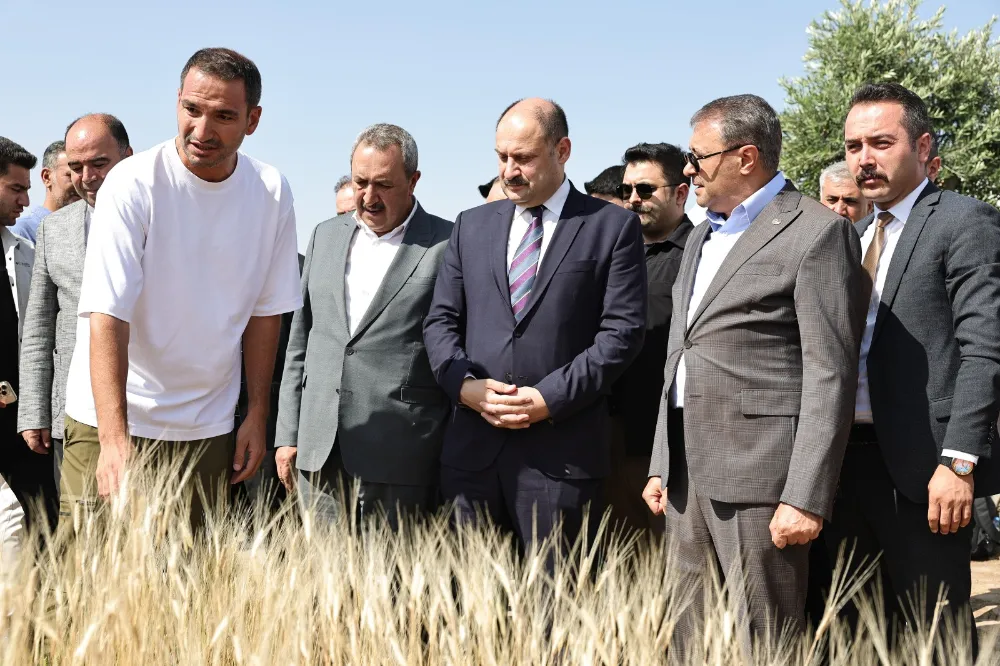ŞANLIURFA’DA ULUSLARARASI BUĞDAY HASADI FESTİVALİ BAŞLADI