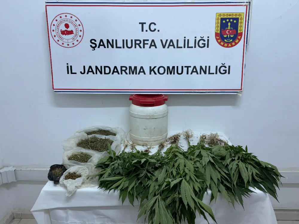 SURUÇ