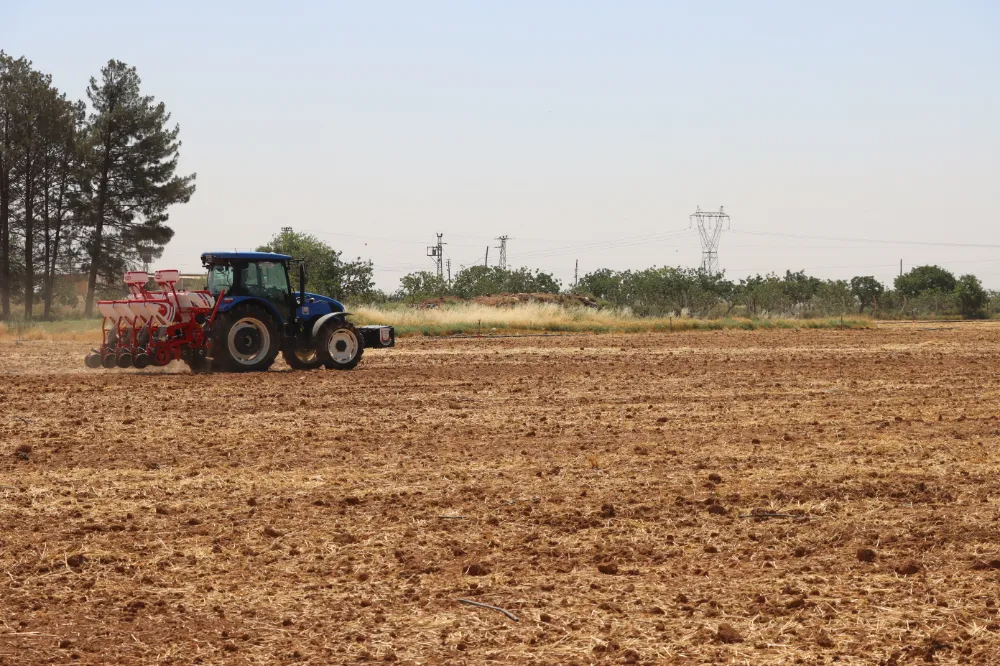 BÜYÜKŞEHİR BELEDİYESİ’NDEN SOYA EKİMİYLE TOPRAK VERİMLİLİĞİNE KATKI