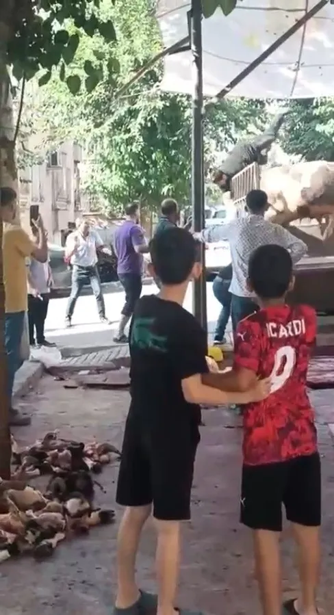 ŞANLIURFA