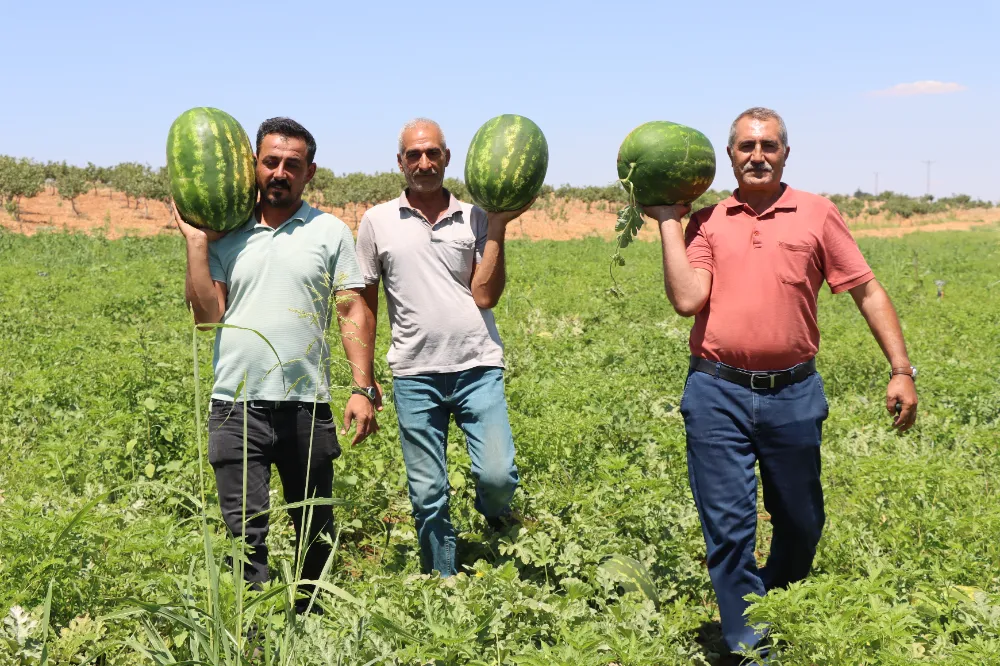 TÜRKİYE