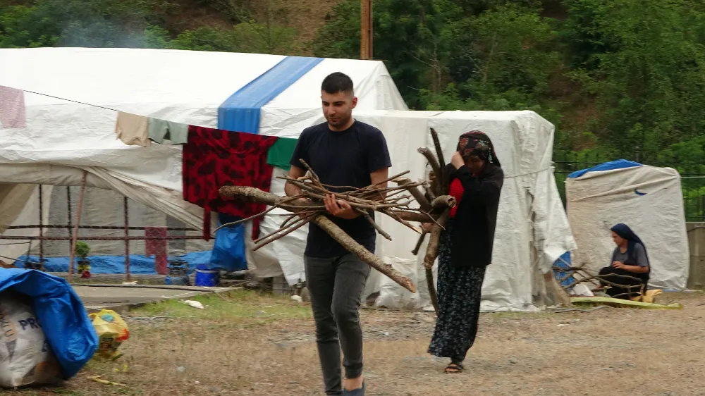 MEVSİMLİK TARIM İŞÇİLERİ FINDIK HASADI İÇİN ORDU