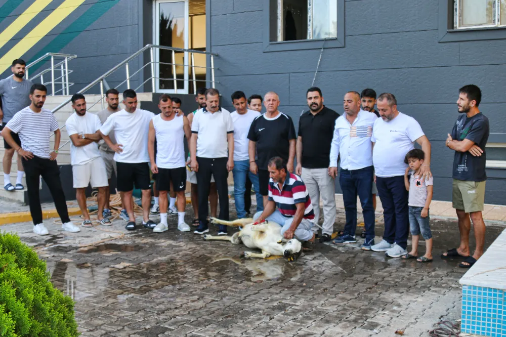 Osman Fındık, Yeni Sezon Öncesi Şanlıurfaspor İçin Kurban Kestirdi