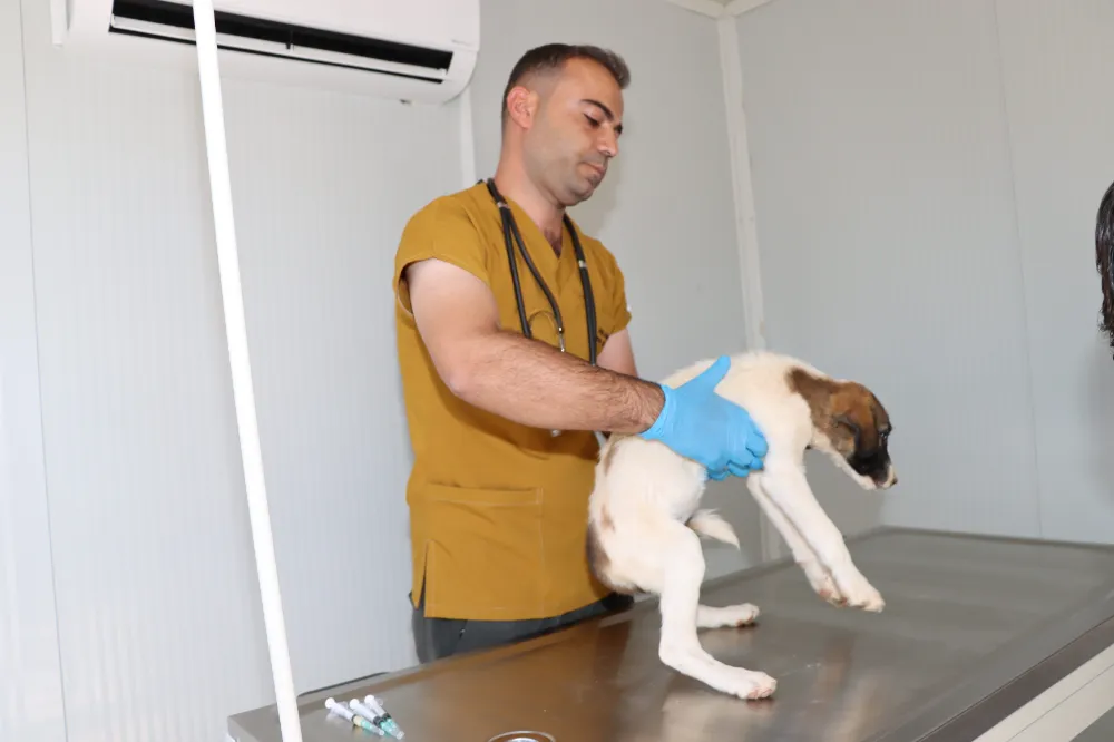 KARAKÖPRÜ’DE SOKAK HAYVANLARI İÇİN BAKIMEVİ VE DOĞAL YAŞAM ALANI OLUŞTURULDU