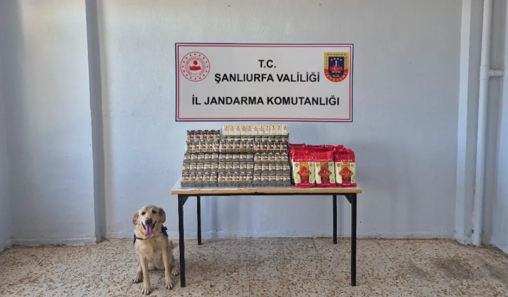 ŞANLIURFA