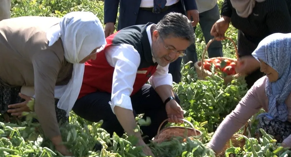 BAKAN YUMAKLI: 