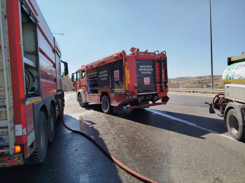 ŞANLIURFA’DA AĞAÇLIK ALANDA ÇIKAN YANGIN SÖNDÜRÜLDÜ