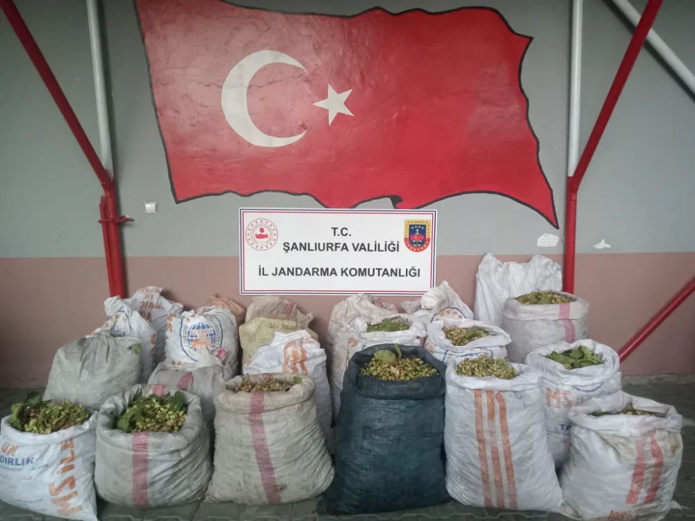 ŞANLIURFA