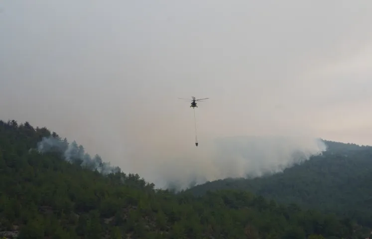 KASTAMONU ORMAN YANGINLARI ÜÇÜNCÜ GÜNÜNDE
