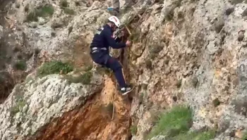 UÇURUMDAN DÜŞEN KÖPEK 4 SAATLİK ÇALIŞMAYLA KURTARILDI