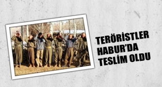 7 PKK`lı Habur`da Teslim Oldu