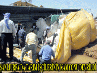 ŞANLIURFA`DA TARIM İŞÇİLERİNİN KAMYONU DEVRİLDİ 