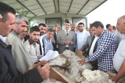 Şanlıurfa`nın `Beyaz Altın`ının Açık Arttırmayla Satışına Başlandı