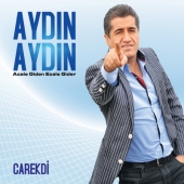 AYDIN AYDIN GÜNEYDOĞU TV DE 