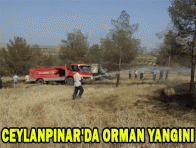 CEYLANPINAR`DA ORMAN YANGINI