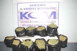 Şanlıurfa`da Uyuşturucu Operasyonu