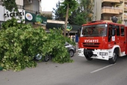 Fırtına Ağaç Devirdi