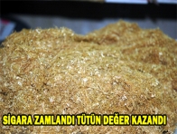 SİGARA ZAMLANDI TÜTÜN DEĞER KAZANDI