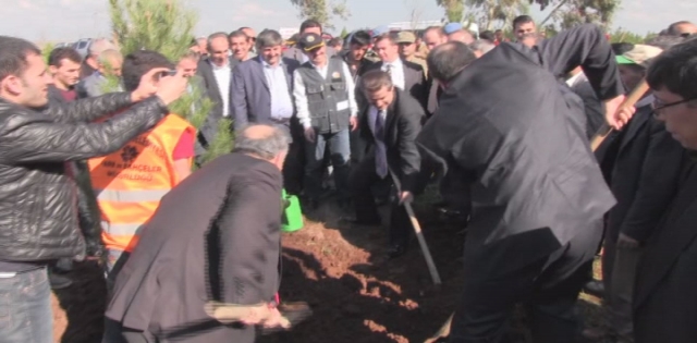 BAKAN ÇELİK FİDAN DİKTİ