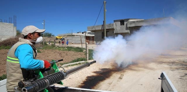 Haliliye`de Haşere İle Mücadele Sürüyor