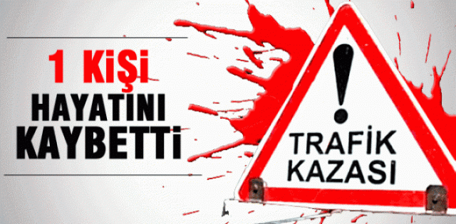 Suruç?ta Kaza: 1 Ölü, 1 Yaralı 