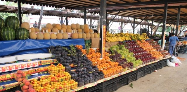 Urfa`da Meyve Üretim Alanları Arttı