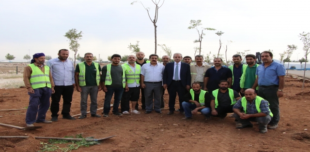 YEMYEŞİL HALİLİYE İÇİN 158 BİN AĞACI TOPRAKLA BULUŞTURDUK