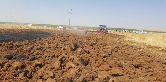 Anız yangını 40 dönüm buğday tarlasını küle çevirdi