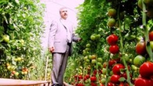 Peltek Tarıma Yenilikler Getirdi