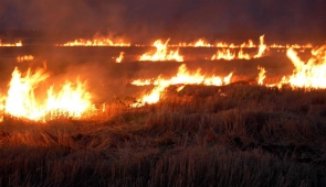 TOPRAK SAHİPLERİNE ANIZ YAKMA CEZASI 